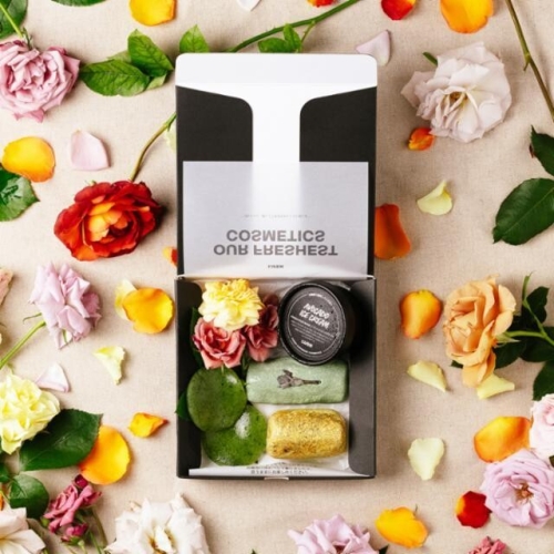 ラッシュジャパン合同会社の求人情報 Nestbowl